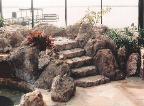 Rock Features pic 6